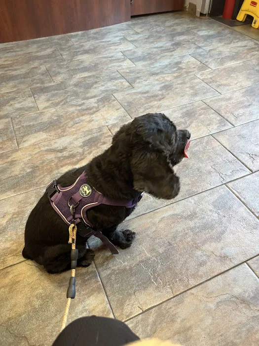 Harlem Animal Hospital 7