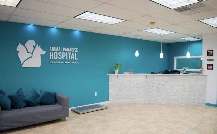 Animal Paradise Hospital 12