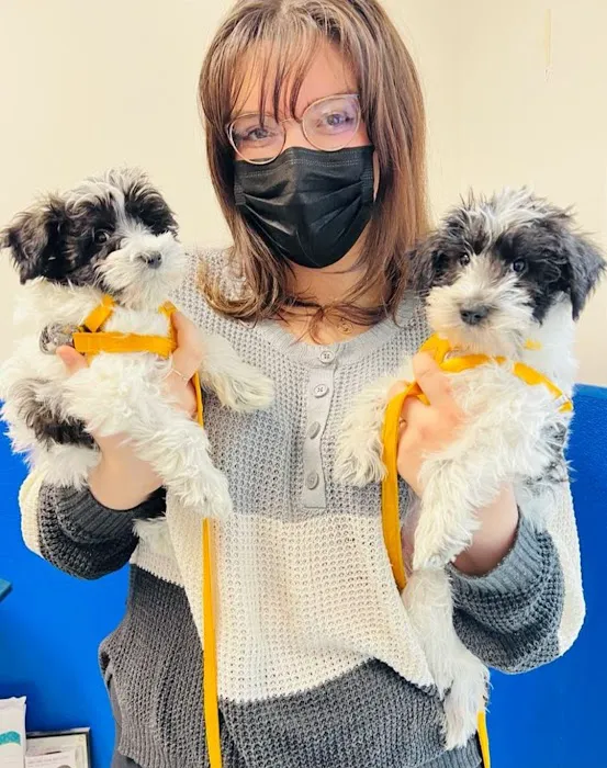 Riverside Animal Hospital North 9