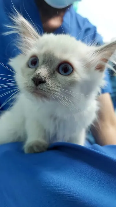 Riverside Animal Hospital North 4