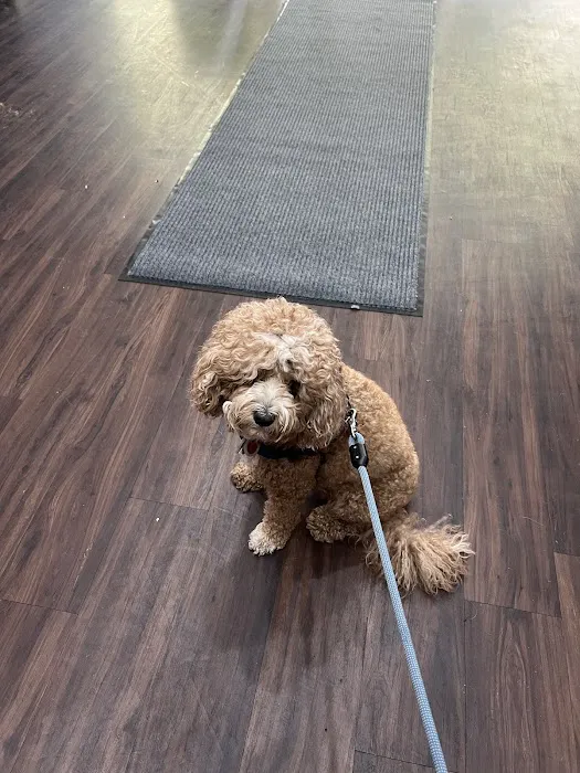Riverside Animal Hospital North 6