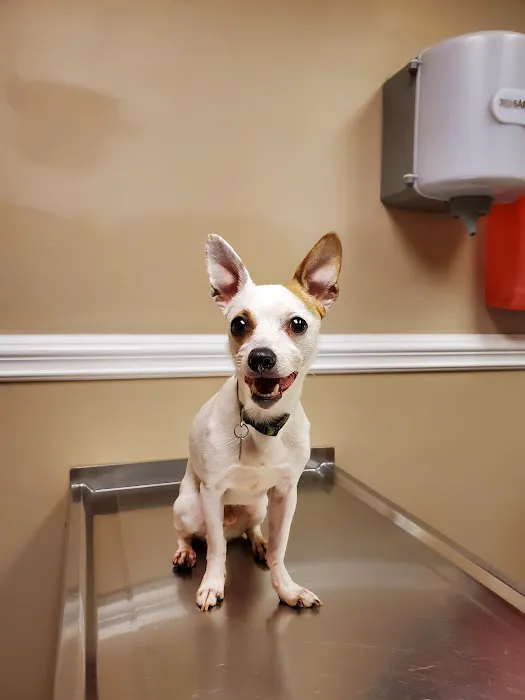 Fletcher Animal Hospital 5