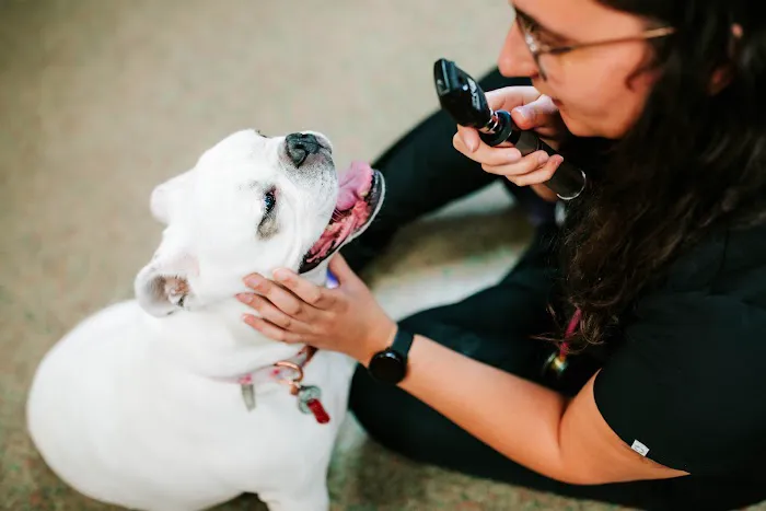 Fletcher Animal Hospital 1