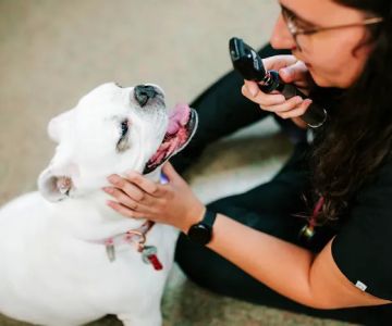 Fletcher Animal Hospital