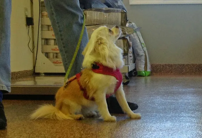 Health Care For Pets Hospital 6
