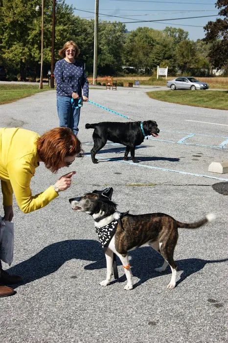 Health Care For Pets Hospital 4