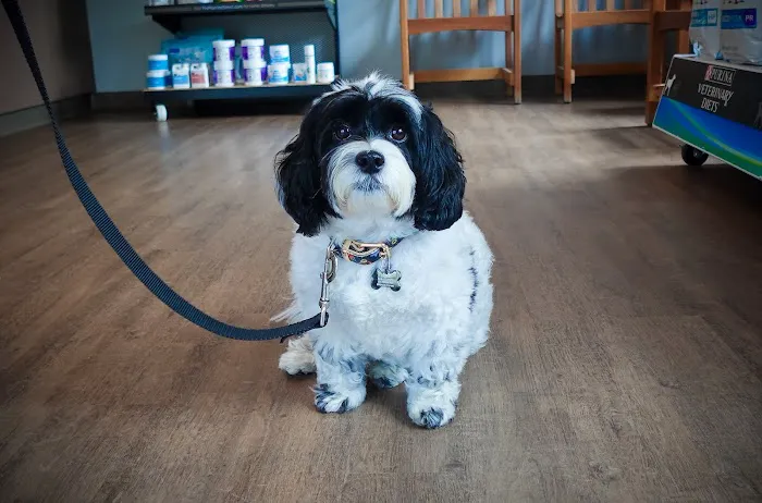 White Oak Veterinary Hospital 7