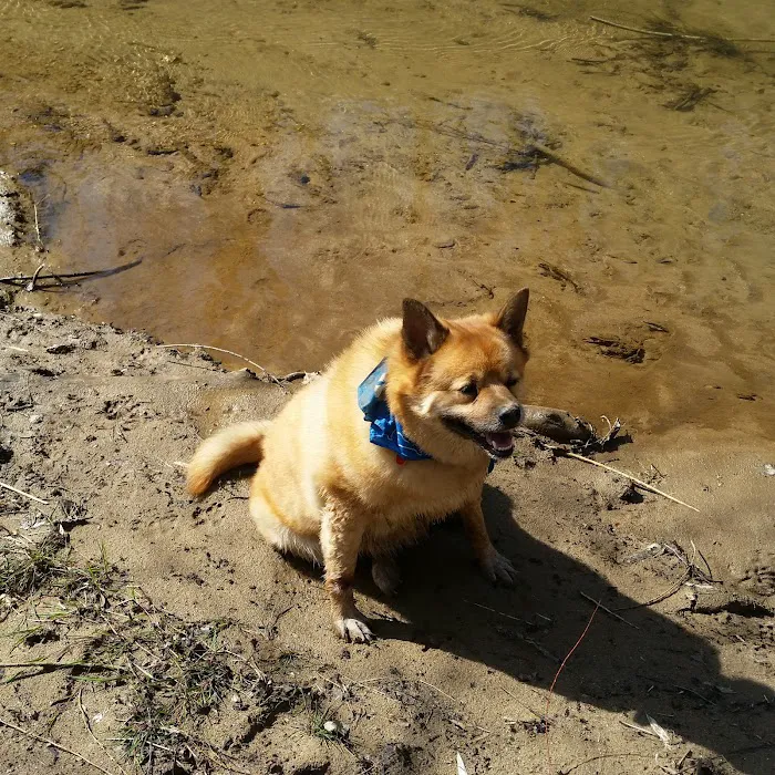 Banfield Pet Hospital 4