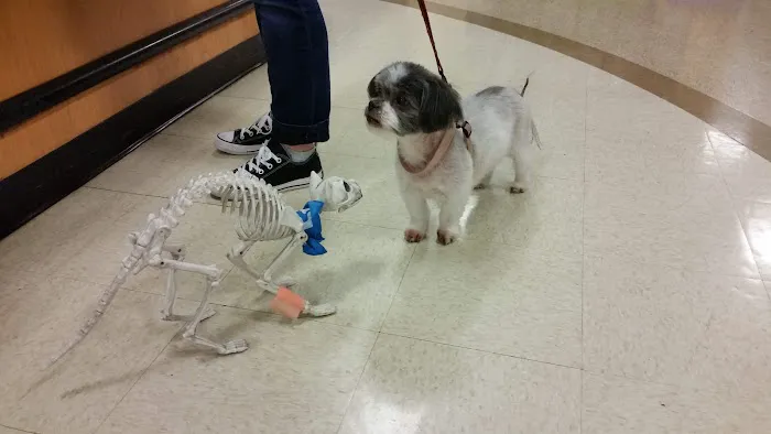 Banfield Pet Hospital 9
