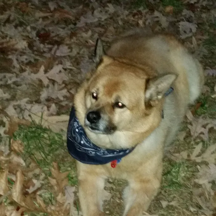 Banfield Pet Hospital 6