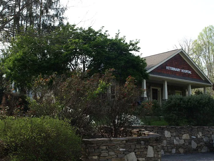Vista Falls Veterinary Hospital 10