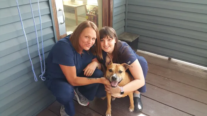 Blue Ridge Animal Hospital Inc: Wagener, Al V.M.D. 3