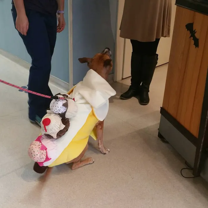 Blue Ridge Animal Hospital Inc: Wagener, Al V.M.D. 2