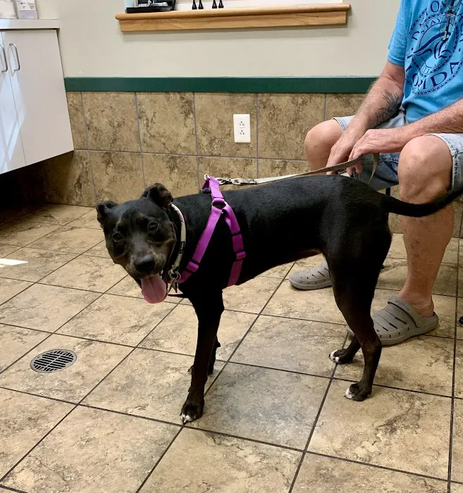 Twin Lakes Veterinary Services 8