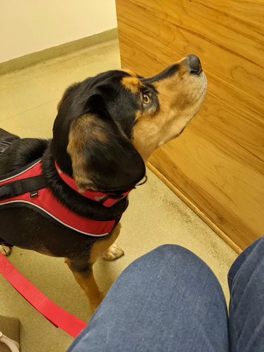 Circle M Animal Hospital 7