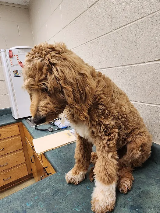 Circle M Animal Hospital 6