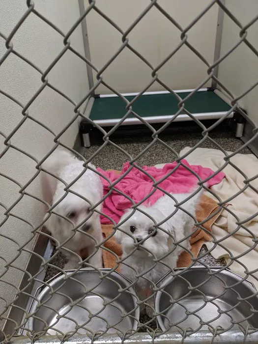Cherryville Animal Hospital 9
