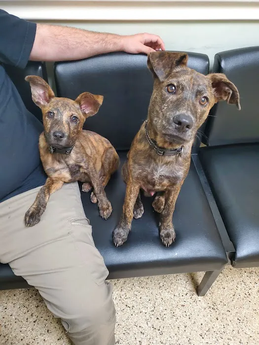 Cherryville Animal Hospital 7