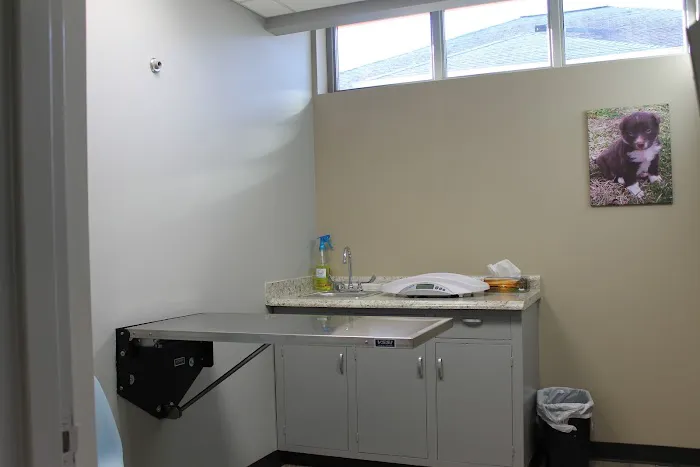 Cleveland Animal Hospital, PLLC 5