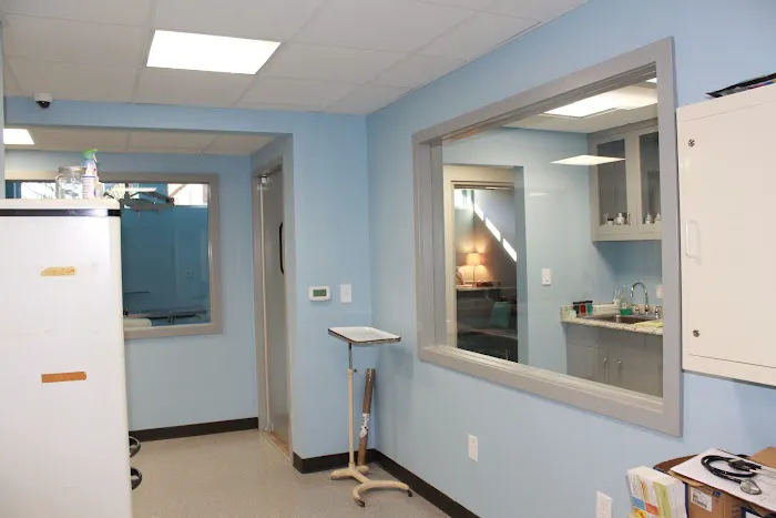Cleveland Animal Hospital, PLLC 1