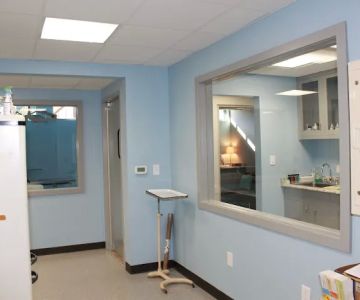 Cleveland Animal Hospital, PLLC