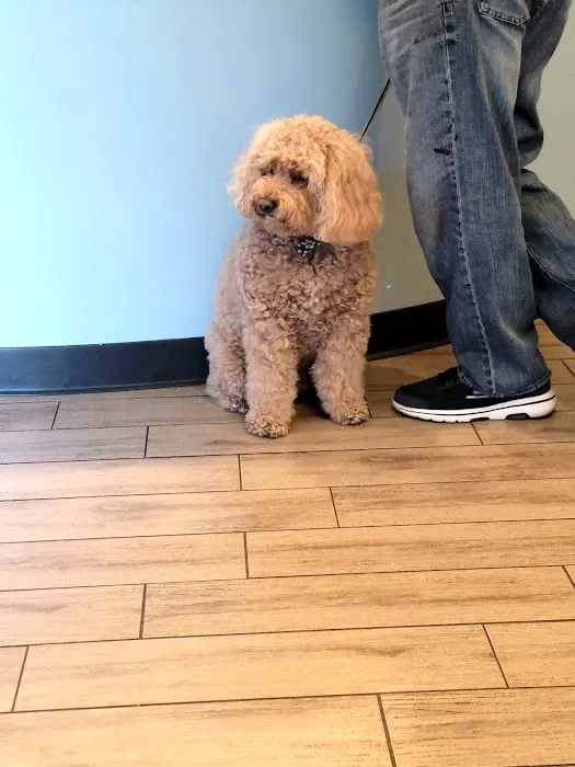 Cleveland Animal Hospital, PLLC 4