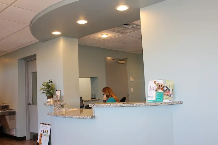 Cleveland Animal Hospital, PLLC 2