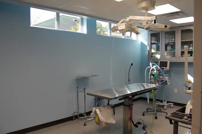 Cleveland Animal Hospital, PLLC 9