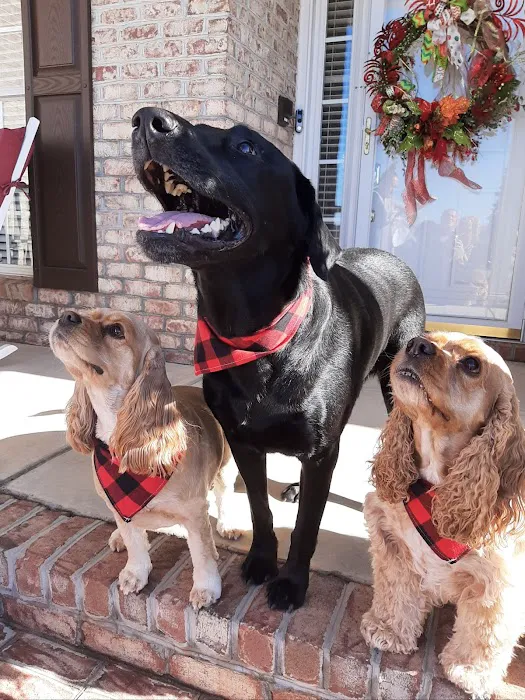 Turner Animal Clinic 2