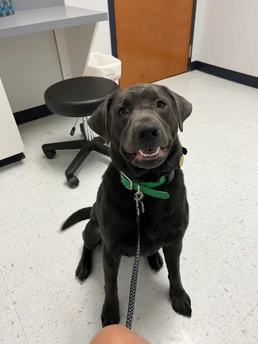 Turner Animal Clinic 7