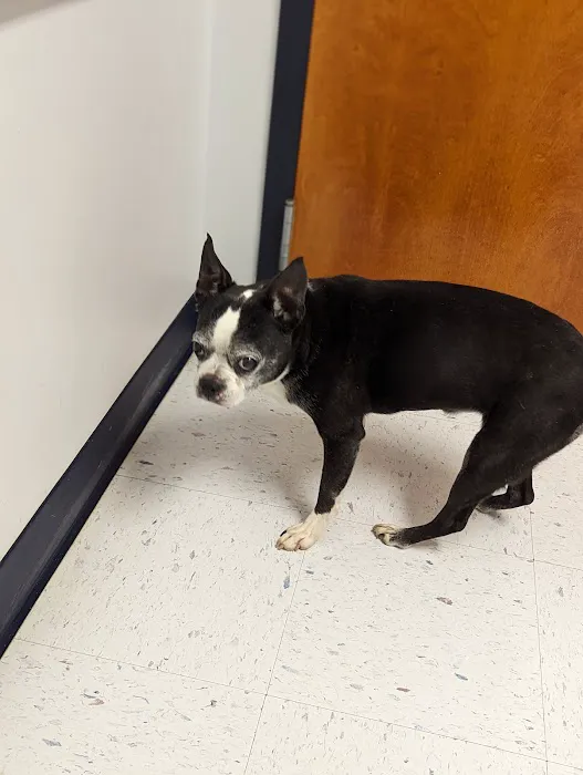 Turner Animal Clinic 4