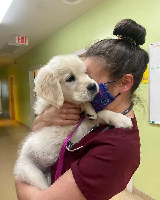 Healthy Petz Family Vet 8