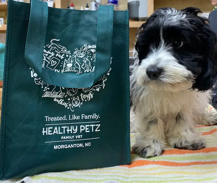 Healthy Petz Family Vet 6