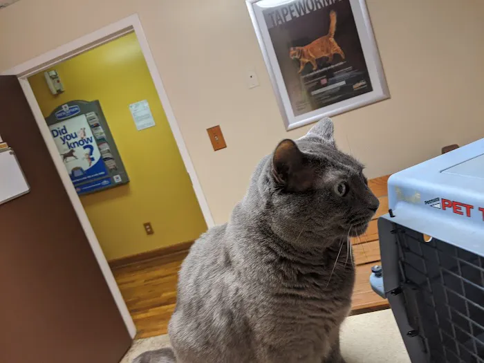 Medicine Man Veterinary Hospital, PLLC 1