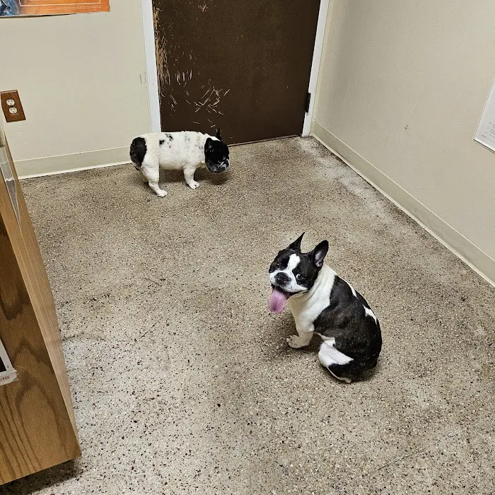 Medicine Man Veterinary Hospital, PLLC 10