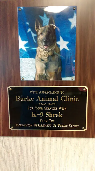 Burke Animal Clinic 8