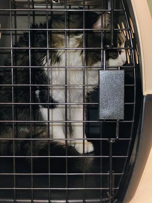Burke Animal Clinic 7