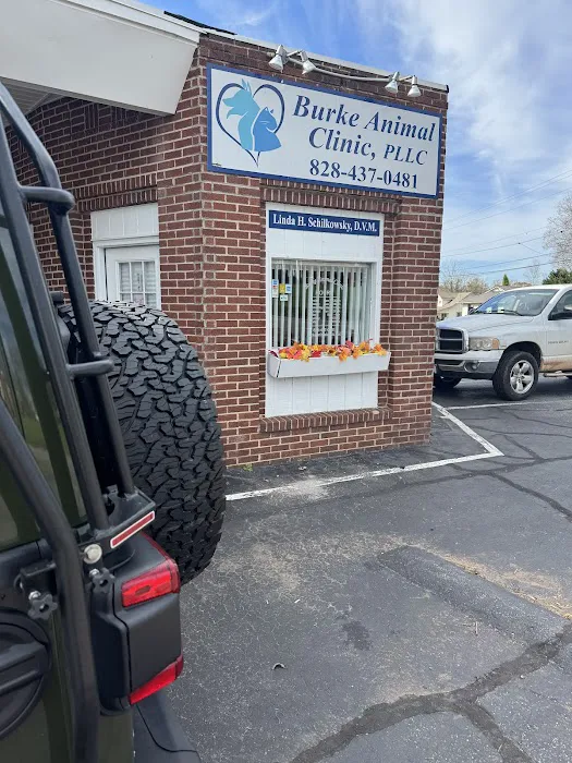 Burke Animal Clinic 4