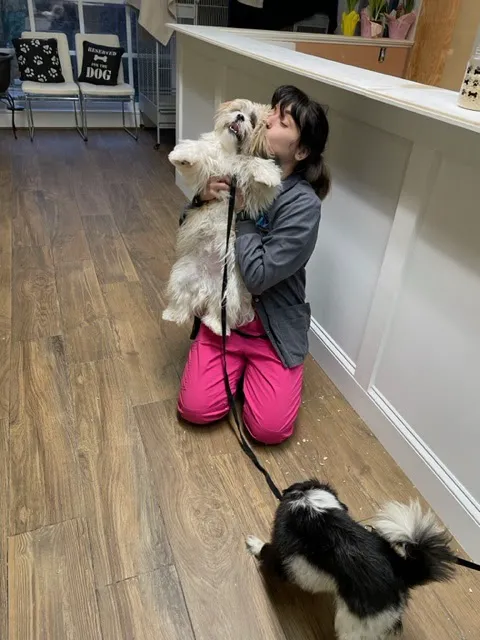 Mitchell Veterinary Hospital 3