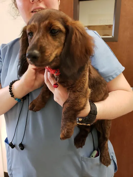 Stewart's Mountain View Animal Hospital 3