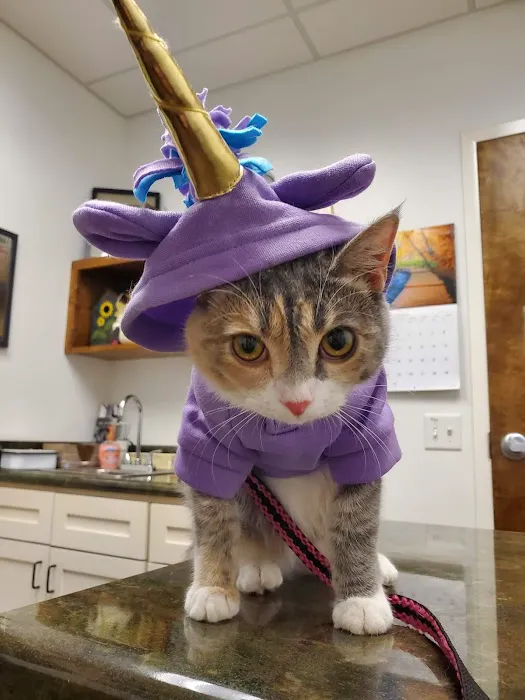 Stewart's Mountain View Animal Hospital 5