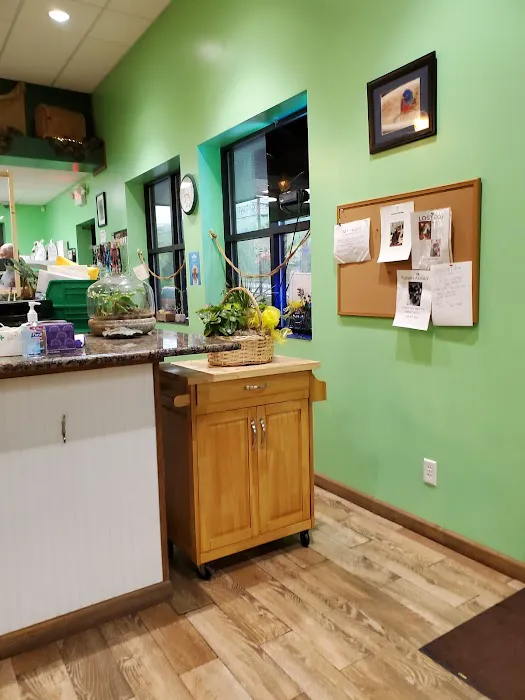 Stewart's Mountain View Animal Hospital 2