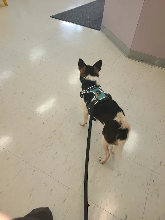 Burnsville Veterinary Clinic 4