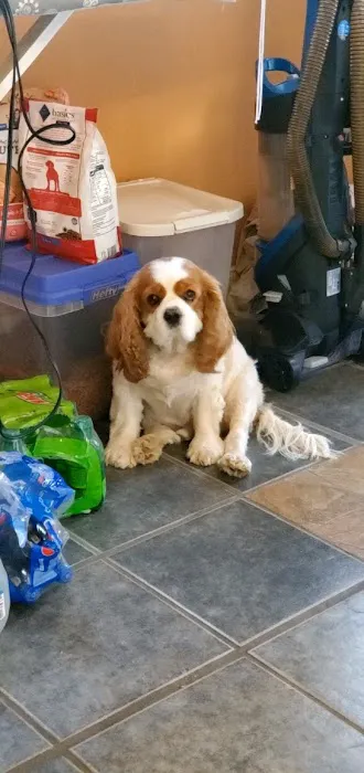 Burnsville Veterinary Clinic 1