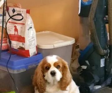 Burnsville Veterinary Clinic