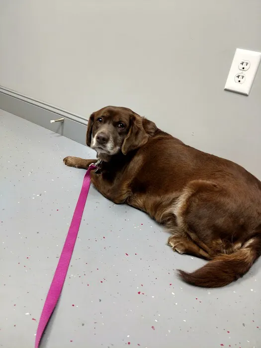 West Lincoln Veterinary Hospital 6