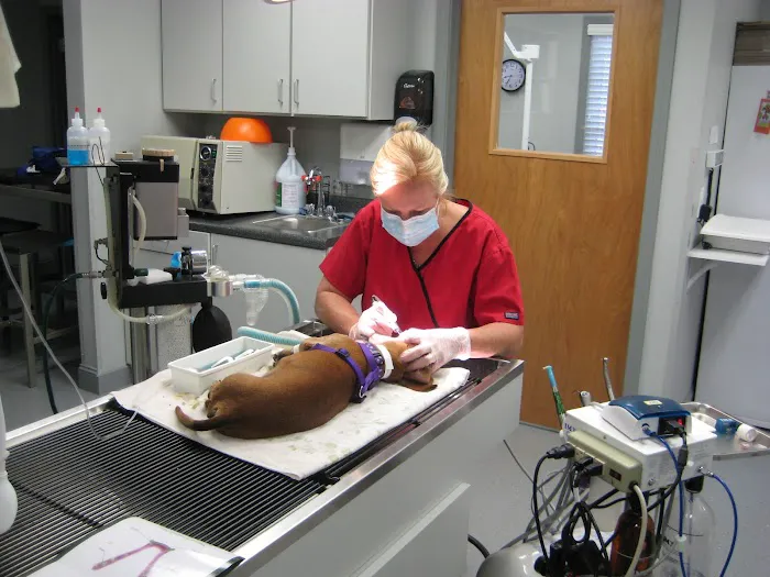 West Lincoln Veterinary Hospital 8