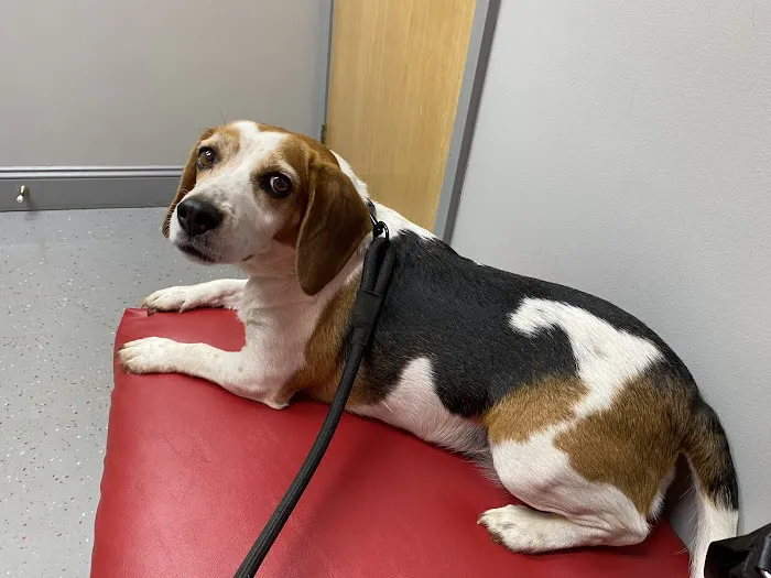 West Lincoln Veterinary Hospital 1