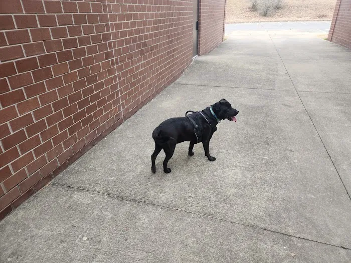 Grace Animal Hospital 12
