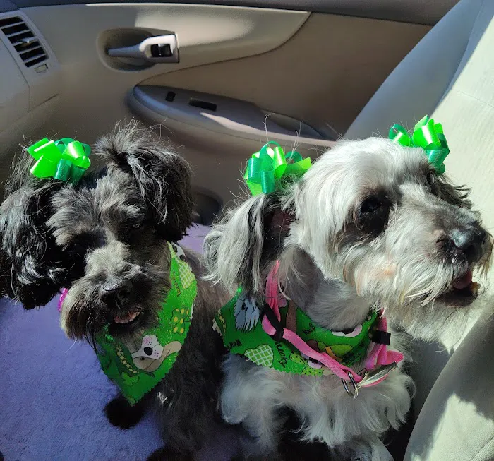 Community Pet Hospital 12